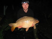 Linear Carp 21 Pounds