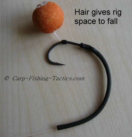 carp hair rig