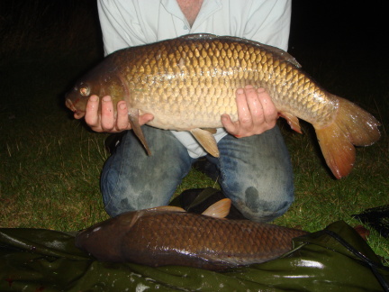 Why Bloodworm Is Super Effective for Big Carp!