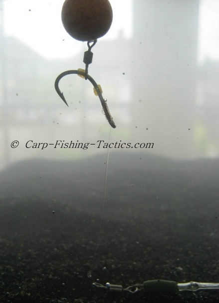 Different types of Up Carp Rig variations