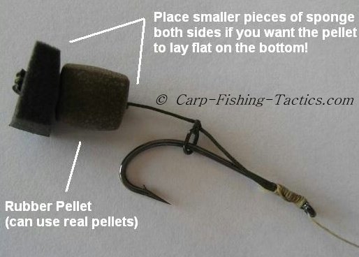 http://www.carp-fishing-tactics.com/images/xpellet-rigs-balanced.jpg.pagespeed.ic.oWC5UGryZ4.jpg